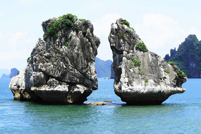 Best Premium Halong Bay Cruise from Halong International Port - Cruising Halong and Bai Tu Long Bay Islands Before the Caves