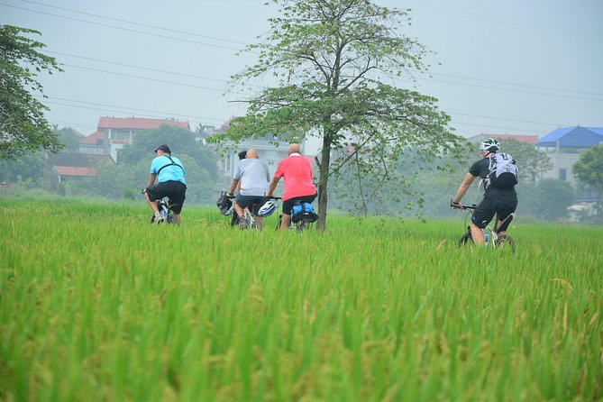 Bicycle Tours Hanoi: Full Day Bicycle Tour Hanoi Countryside - Hồ Trúc Bạch: A Short Stop That Changes the Mood