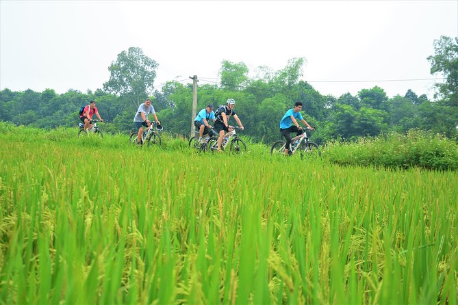 Bicycle Tours Hanoi: Full Day Bicycle Tour Hanoi Countryside - Lại Đà and the Wet Market Feel: Fruits, People, and Small Crafts