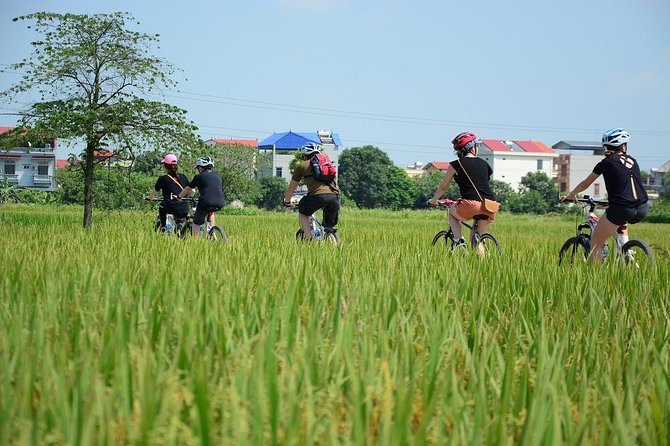 Bicycle Tours Hanoi: Full Day Bicycle Tours City & Countryside - Starting at Hanoi’s Opera House: the easy morning plan