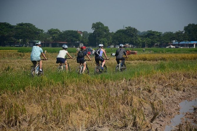 Bicycle Tours Hanoi: Full Day Bicycle Tours City & Countryside - Co Loa Citadel area: fruit at the wet market and sugarcane by the lotus lake
