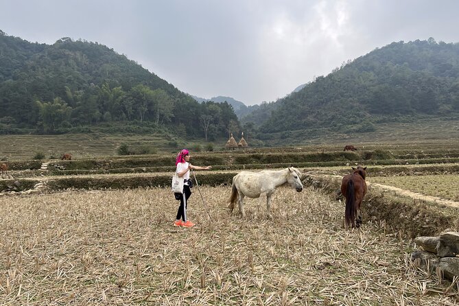 Cao Bang Easy Trekking Tours 2Days/1Night Ban Gioc Waterfall ET1 - Day 1 trek: Ngao Cave, Tay stone houses, rice terraces, and streams