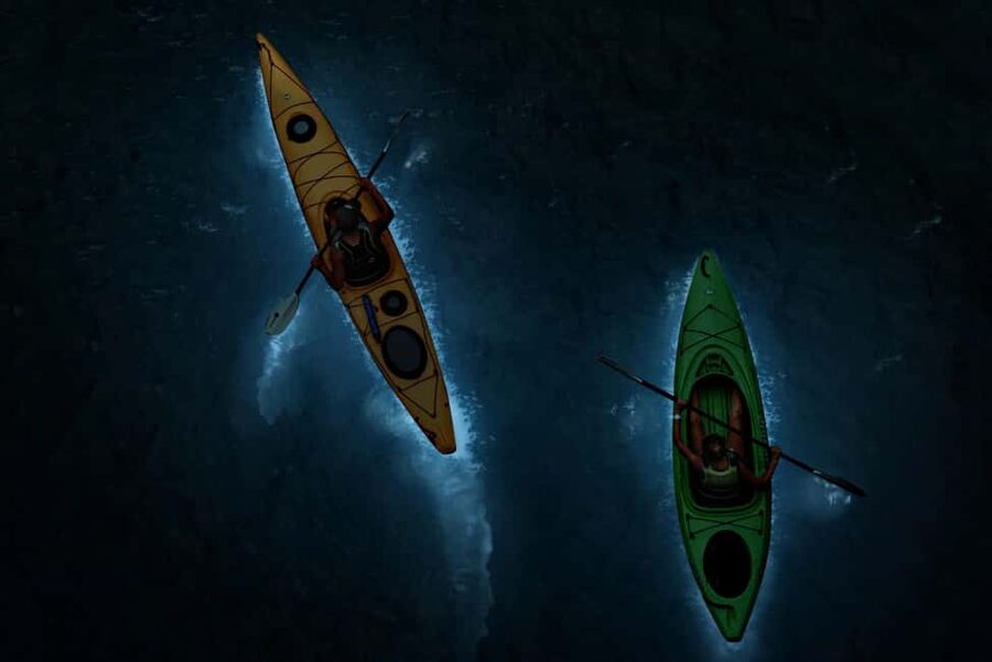 Cat Ba: 2-Day Lan Ha Bay Cruise with Plankton Excursion - Key highlights to know before you go