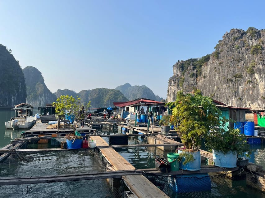 Cat Ba: 2-Day Lan Ha Bay Cruise with Plankton Excursion - Who this cruise is best for (and who should skip)