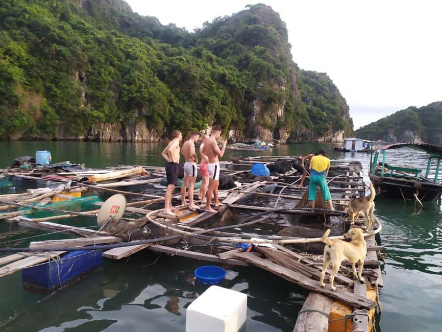 Cat Ba: 2-Day Lan Ha Bay Cruise with Plankton Excursion - Meals and sunset snacks: small comforts that matter on a boat