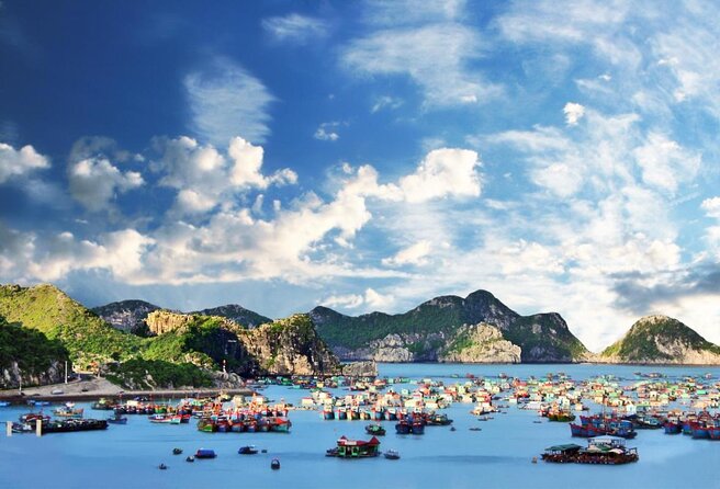 Cat Ba Cruise 2 Days 1 Night - Key things I’d plan around