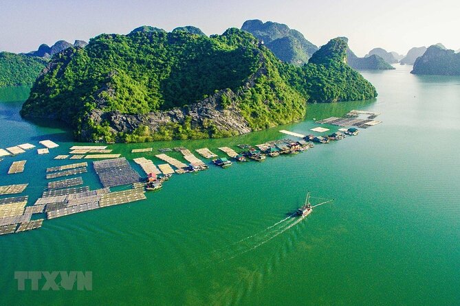 Cat Ba Cruise 2 Days 1 Night - Ba Trái Đào Beach: short stop, good payoff if you’re ready to get in the water