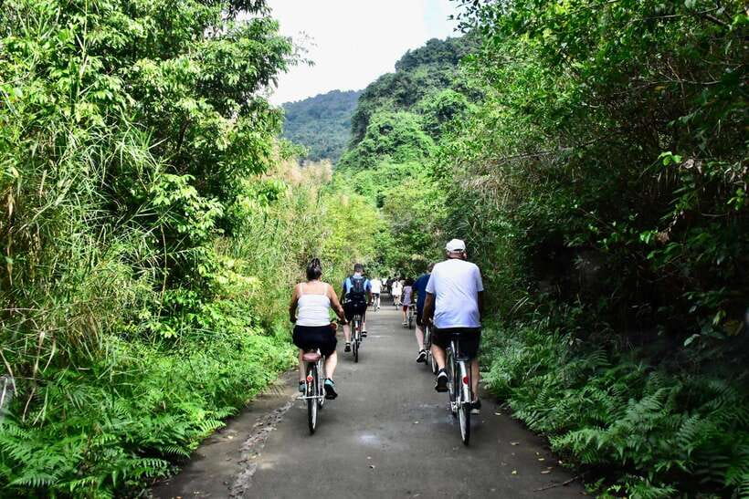 Cat Ba: Full- day trip with biking, kayaking, meal, tickets - The Vibe: Active Fun, Friendly Team, and English Guidance