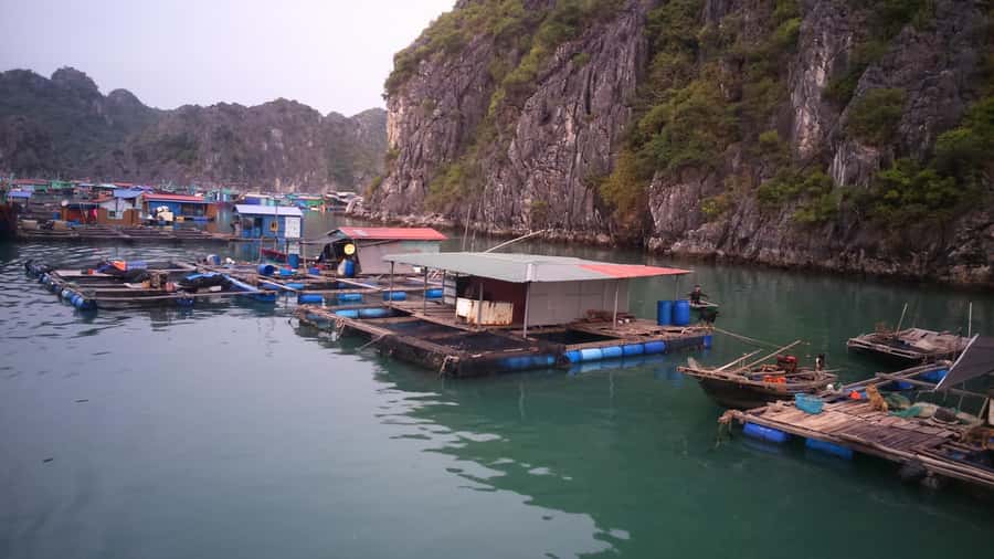 Cat Ba Island: Full-Day Cruise to Lan Ha Bay and Ha Long Bay - Getting to Beo Pier: why the 7:50 pickup matters