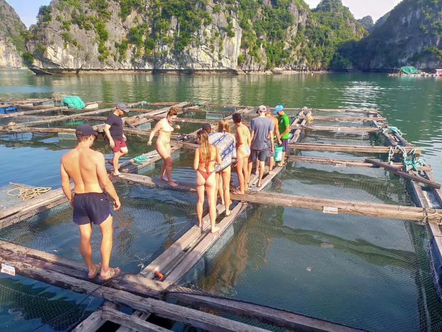 Cat Ba Island: Full-Day Cruise to Lan Ha Bay and Ha Long Bay - Sunset cruise back: drinks, snacks, and a slower bay