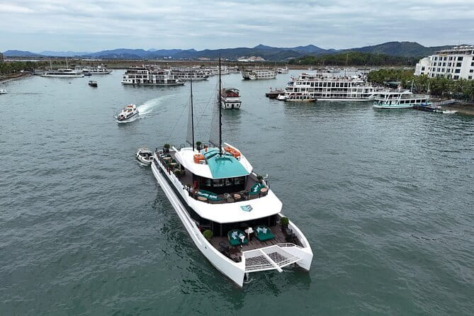 Catamaran Premium Cruise to Halong Bay & Lan Ha Bay in 1 Day Tour - Key things to know before you go