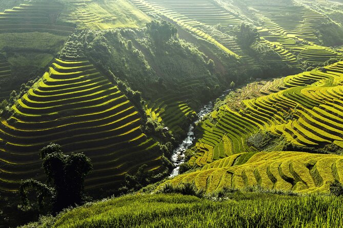 Colorful Vietnam In 17 Days - From Hanoi to Phu Quoc Island - Ho Chi Minh City: use the free time wisely