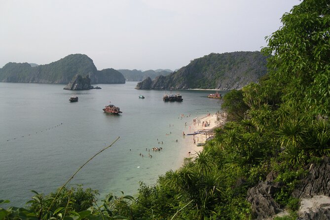 Combo: Bus Ha Noi to Cat Ba + 1 Day Boat Trip, La Ha Bay, Ha Long Bay - Hanoi to Cat Ba: Pick Your Departure Time and Keep the Day Moving