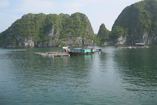 Combo: Bus Ha Noi to Cat Ba + 1 Day Boat Trip, La Ha Bay, Ha Long Bay - The Cat Ba Boat Morning: Floating Fishing Village to Natural Beach