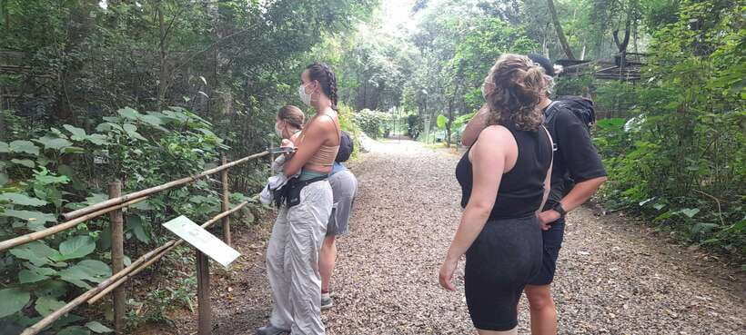 Cuc Phuong National Park Hiking Tour - Key Things I’d Not Skip