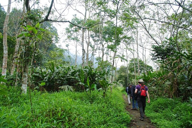Cuc Phuong National Park Private Day Tour: Trekking & Primates - Price and value: what your $99 includes (and what it doesn’t)