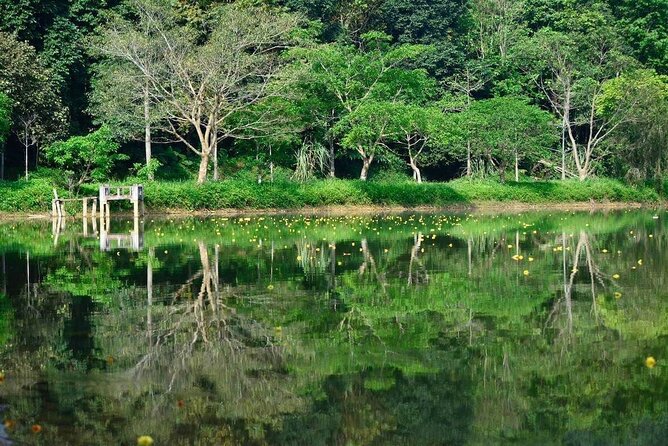 Cuc Phuong National Park Private Day Tour: Trekking & Primates - Hanoi pickup at 8:00 AM and the ride that sets your pace