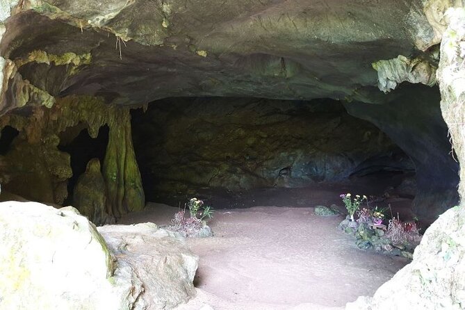 Cuc Phuong National Park Private Day Tour: Trekking & Primates - Trekking reality check: steps, timing, and what to bring