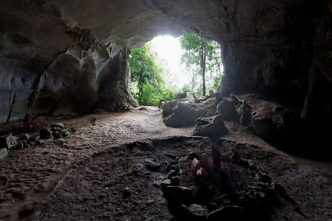 Cuc Phuong National Park Private Day Tour: Trekking & Primates - Private logistics that make the day feel smoother