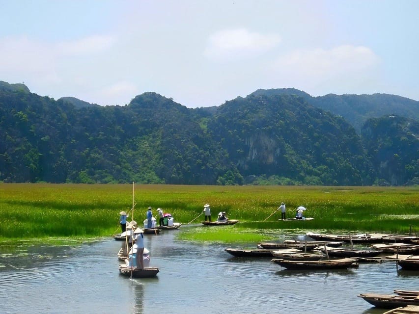 CUC PHUONG NATIONAL PARK - VAN LONG DAI LY TOUR DAY TRIP - Key points I’d bank on before you go