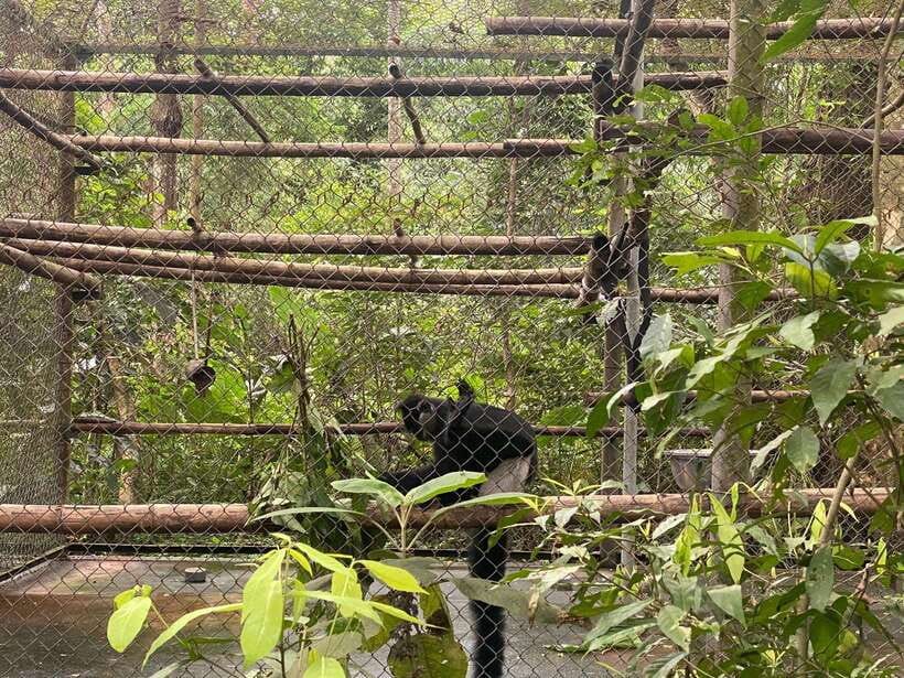 Cuc Phuong National Park - Van Long Day Trip From Hanoi - Lunch in a Local Restaurant: Your Energy Check