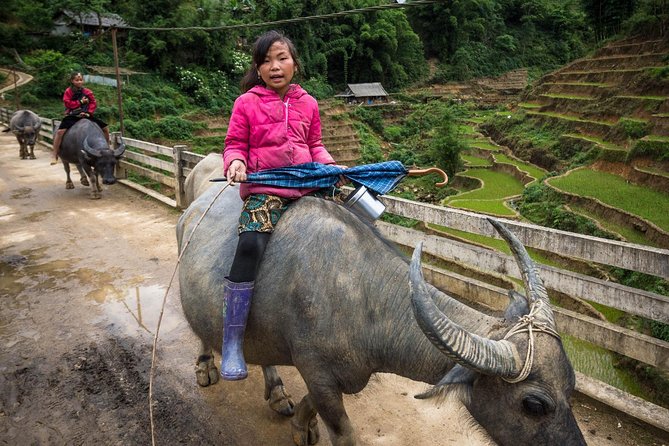 Daily Experience Authentic TaPhin Valley &Traditional Herbal bath - Suoi Ho starts the day: Black Hmong daily life, not a photo stop