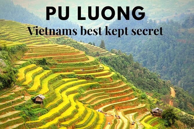 Daily Shuttle Bus Transfer Hanoi to Pu Luong or return - Price, Value, and the Real Cost of Convenience