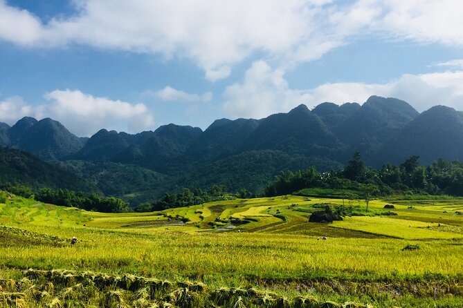 Daily Shuttle Bus Transfer Hanoi to Pu Luong or return - Group Size and Comfort: The Small-Group Benefit