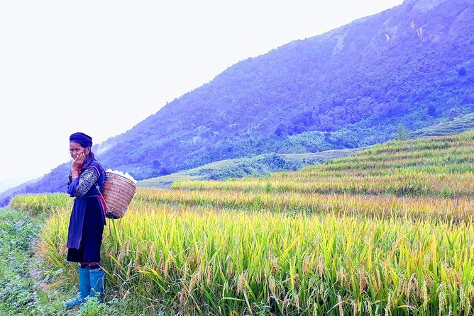 Daily Tour: Sapa Trekking in Muong Hoa valley, Bamboo forest - Lao Chai to Ta Van: village life, lunch timing, and photo-friendly breaks
