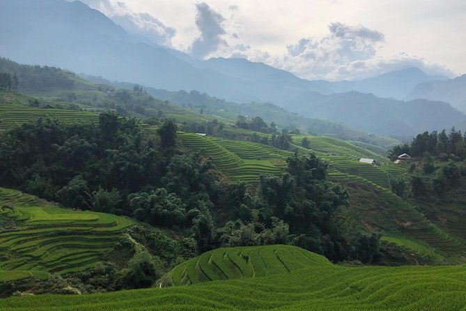 Discover the Beauty of Sa Pa: A One-Day Trek - One-Day Trek in Sapa: What You’re Really Signing Up For