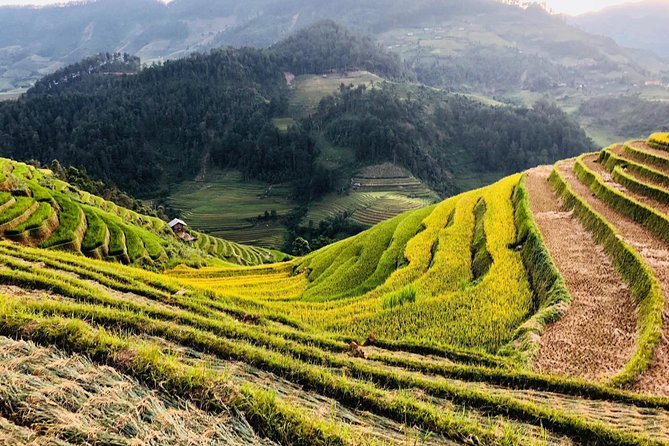 Discover the Beauty of Sa Pa: A One-Day Trek - Stop 2: Lao Chai Village in Muong Hoa (Deep Valley Walking)