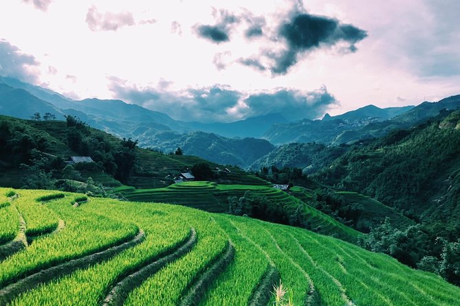 Discover the Beauty of Sa Pa: A One-Day Trek - Stop 3: Ta Van Village (Short Visit, Friendly People)