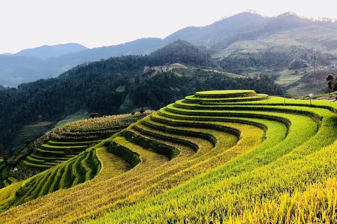 Discover the Beauty of Sa Pa: A One-Day Trek - Transport, Lunch, and the Parts That Make This Day Easy