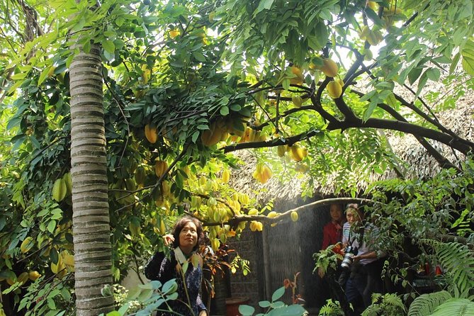 Duong Lam Ancient Village Private Tour - Why Duong Lam Feels Like a Different Hanoi