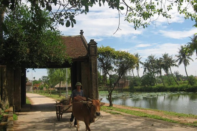 Duong Lam Ancient Village Private Tour - Ngo Quyen Mausoleum and Rice Fields: History You Can Ride Through