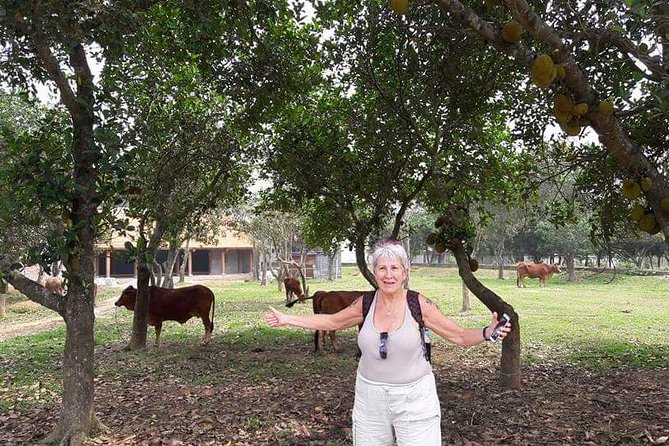 Duong Lam Ancient Village Private Tour - Sugar Cane Pagoda: Walking With Statues and Quiet Details