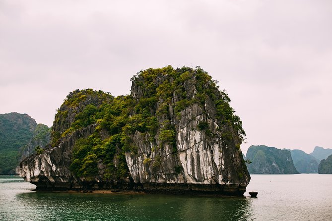 Excursion to Ha Long Bay with Titop Island and kayaking in Luon Cave - Ti Top Island: swim break or climb for the panorama