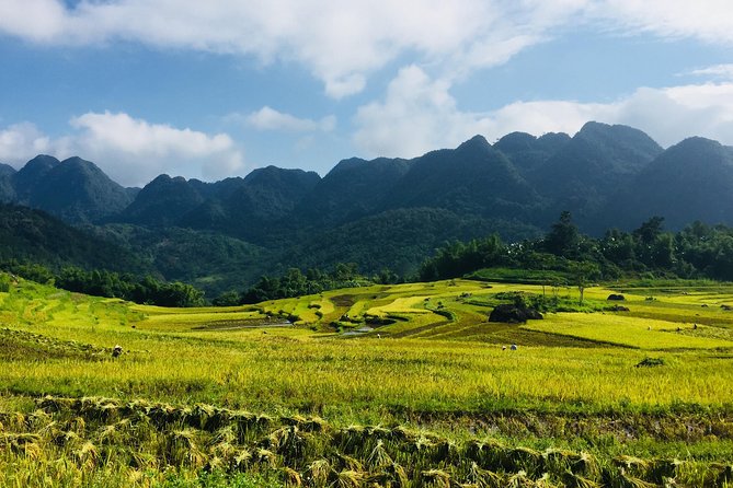 Explore Mai Chau - Pu Luong - Ninh Binh 4 Days / 3 Nights - Key things that make this tour worth a closer look