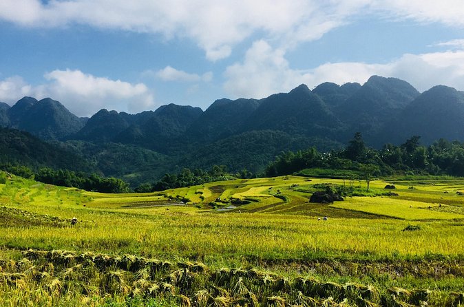 Explore Mai Chau - Pu Luong - Ninh Binh 4 Days / 3 Nights - Pu Luong Nature Reserve: the reserve-focused approach