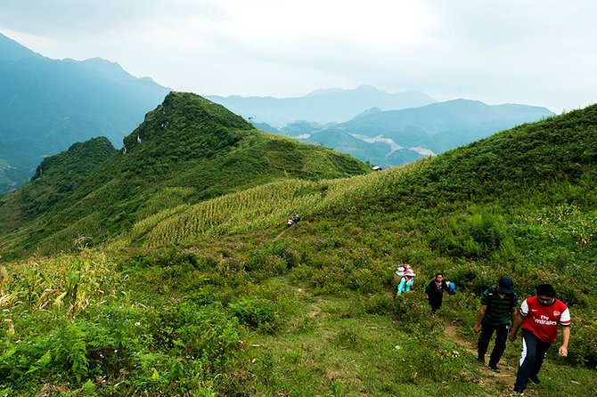 Explore Nature View And Homestay Experience - Meeting point, timing, and how the day flows