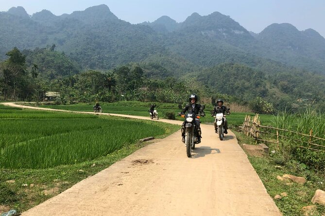 Explore Rice Terrace Pu Luong Ninh Binh Ha Long 4 Days 3 Night - Ninh Binh day: Hoa Lu temples, Trang An river boat, and UNESCO vibes