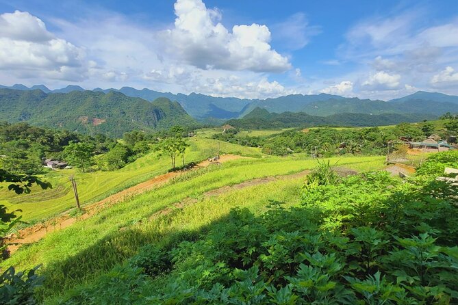 Explore Rice Terrace Pu Luong Ninh Binh Ha Long 4 Days 3 Night - Price and logistics: what $490 covers (and how it saves you effort)