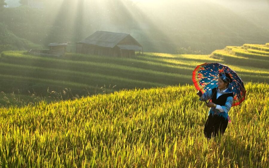 Explore Sa Pa with Overnight Train & Sleeper Bus & Trekking - First morning in Sapa: Ma Tra–Ta Phin villages and a short trek