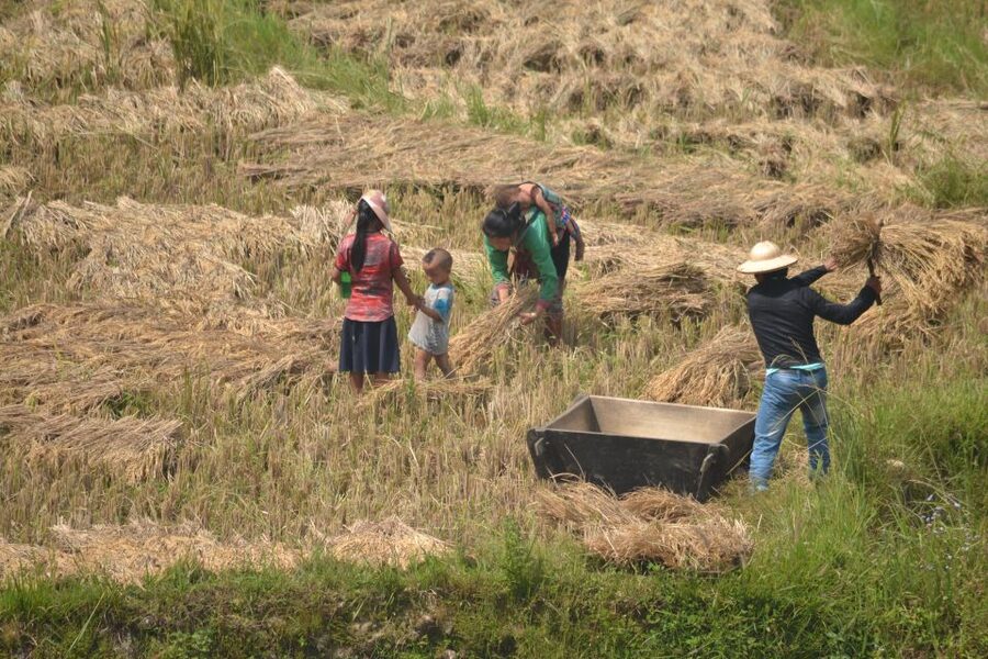 Explore Sa Pa with Overnight Train & Sleeper Bus & Trekking - Getting back to Hanoi: sleeper bus by early evening