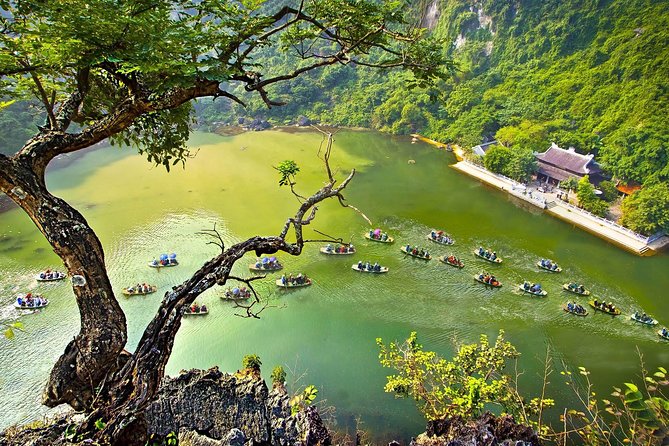 Exploring Bai Dinh Pagoda -Trang An -Mua Cave with Buffet Lunch 1 Day From Hanoi - A 7:30–19:30 Schedule That Works (If You Like Structure)