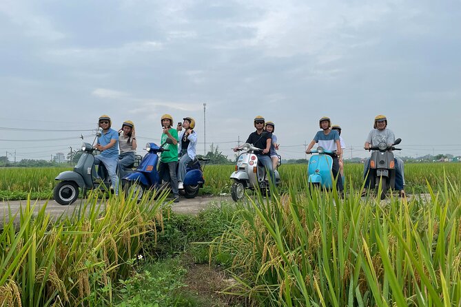 Exploring Vespa Tour Through Little Red River Delta - Stop 4: Cổ Loa Citadel—history at full attention