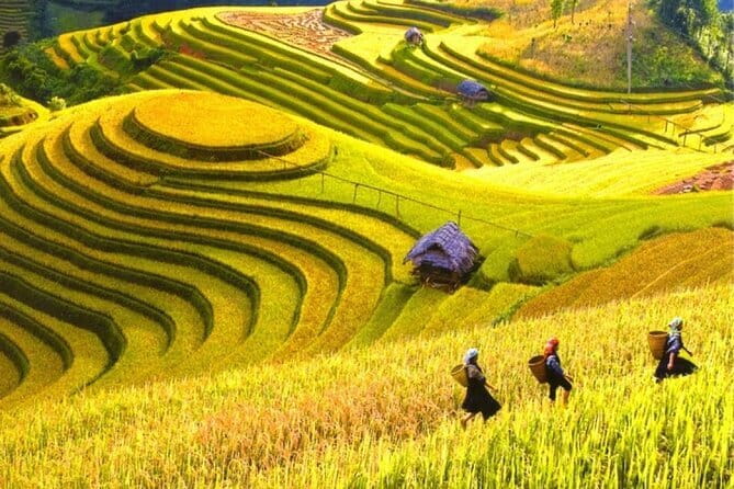 Fansipan Mountain, Cat Cat Village, Rice Terrace 2 Day Sapa Tour - Best for: who will enjoy this 2-day Sapa combo the most