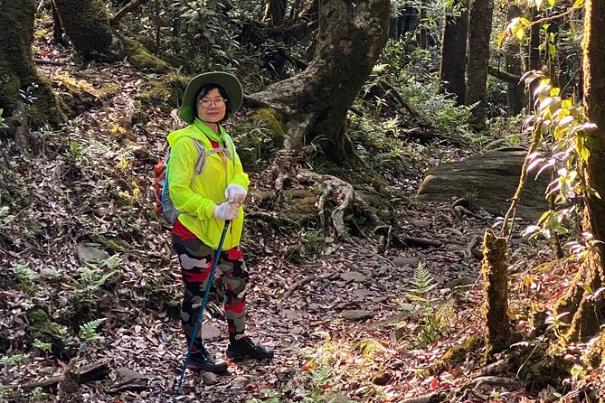 Fansipan Summit Challenge - Stop 3: The 2,800 m picnic lunch break that feels earned