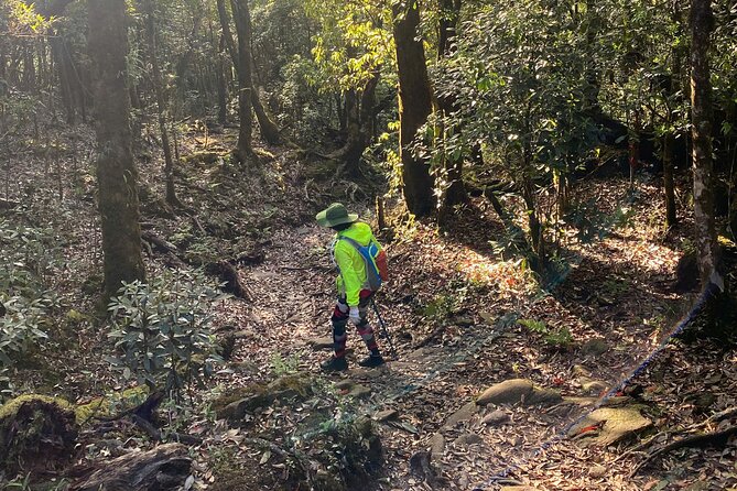 Fansipan Summit Challenge - Stop 5: Descent through forests and alpine meadows (the legs still work)