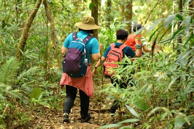 Fansipan Trek One Day Tour – Roof of Indochina - Reaching Fansipan Peak Around Noon: Your Summit Hour